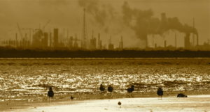 ExxonMobil Refinery in Bayshore, TX