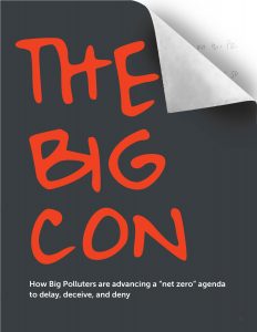 Cover of report - The Big Con