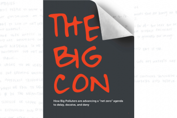 Cover of report - The Big Con