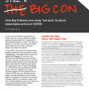 Cover of the "Still A Big Con" fact file